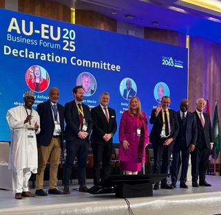 Sommet UE/AU Angola, novembre 2025